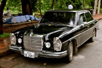 Many old luxury cars