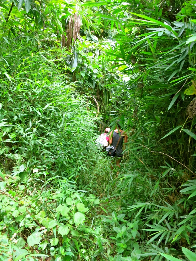 Noi hacking a path through the jungle for Ting