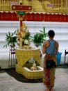 Ting's prayer ceremony at Shwedagon pagoda